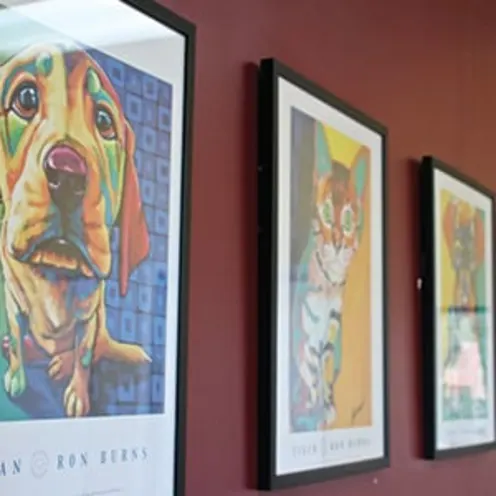 A wall of portraits depicting illustrations of pets 